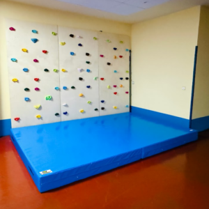 Rocodromo  vertical ref.718