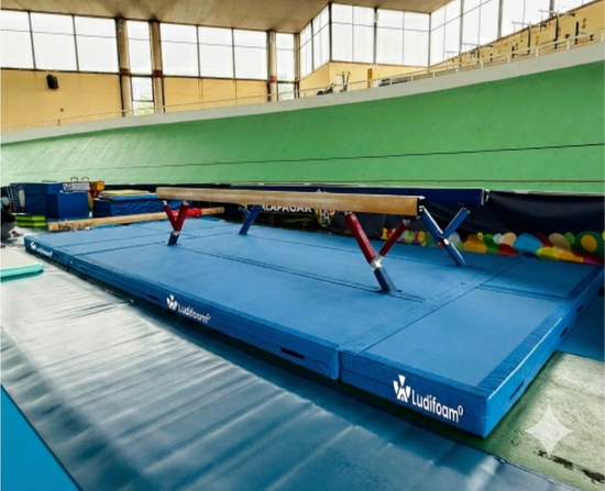 Colchonetas para Barras de Equilibrios, Ref. 1729B